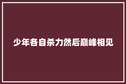 少年各自杀力然后巅峰相见