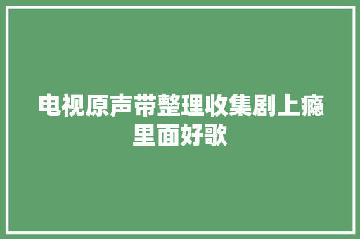 电视原声带整理收集剧上瘾里面好歌