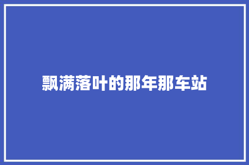 飘满落叶的那年那车站