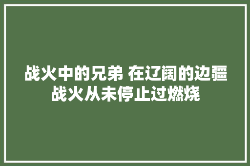 战火中的兄弟 在辽阔的边疆战火从未停止过燃烧