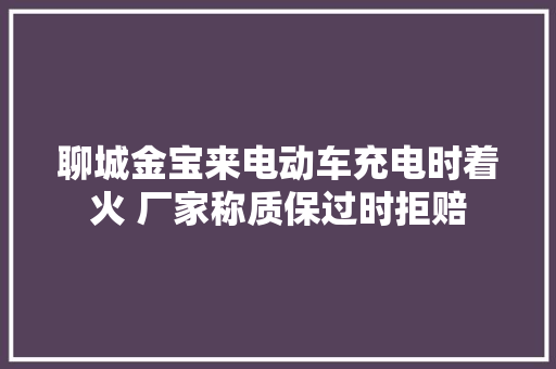 聊城金宝来电动车充电时着火 厂家称质保过时拒赔