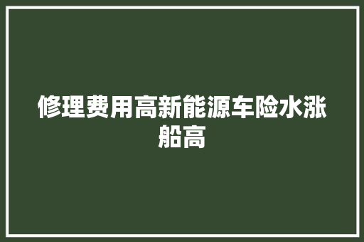 修理费用高新能源车险水涨船高