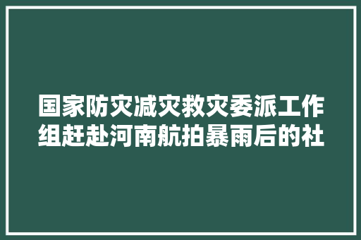 国家防灾减灾救灾委派工作组赶赴河南航拍暴雨后的社旗→