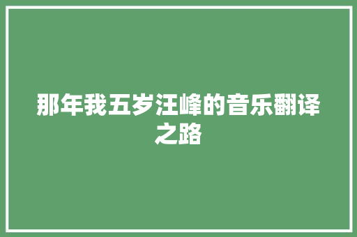 那年我五岁汪峰的音乐翻译之路