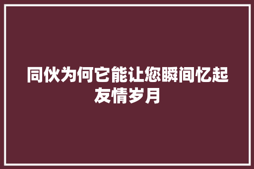 同伙为何它能让您瞬间忆起友情岁月