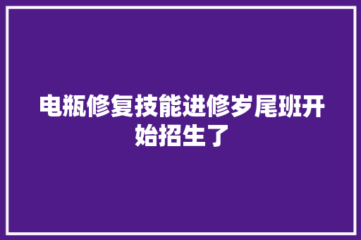 电瓶修复技能进修岁尾班开始招生了