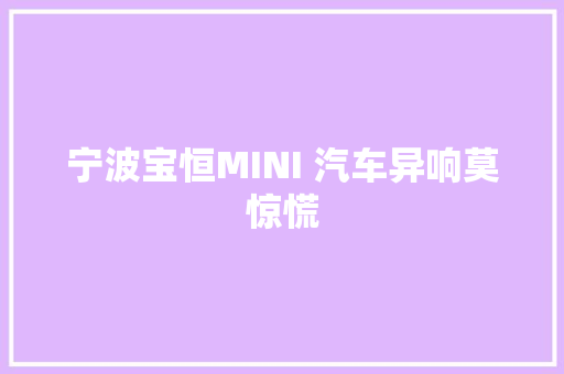 宁波宝恒MINI 汽车异响莫惊慌