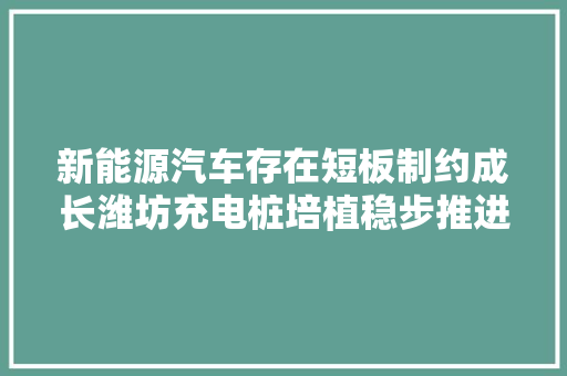新能源汽车存在短板制约成长潍坊充电桩培植稳步推进明天未来方长