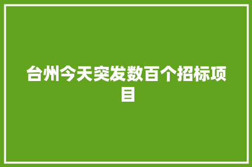 台州今天突发数百个招标项目