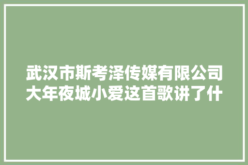 武汉市斯考泽传媒有限公司大年夜城小爱这首歌讲了什么故事