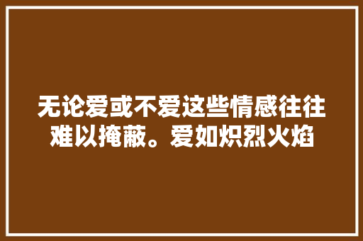 无论爱或不爱这些情感往往难以掩蔽。爱如炽烈火焰