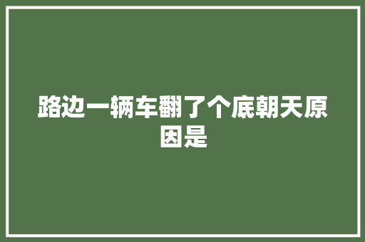 路边一辆车翻了个底朝天原因是