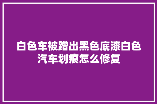 白色车被蹭出黑色底漆白色汽车划痕怎么修复