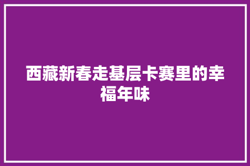 西藏新春走基层卡赛里的幸福年味