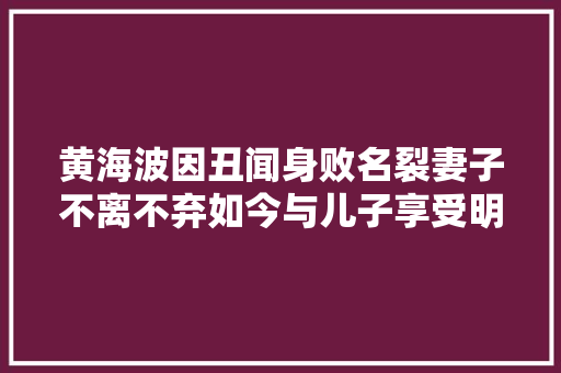 黄海波因丑闻身败名裂妻子不离不弃如今与儿子享受明日亲之乐