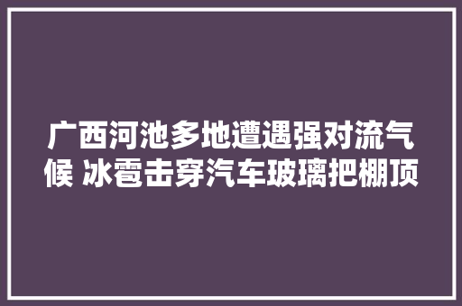 广西河池多地遭遇强对流气候 冰雹击穿汽车玻璃把棚顶砸成筛