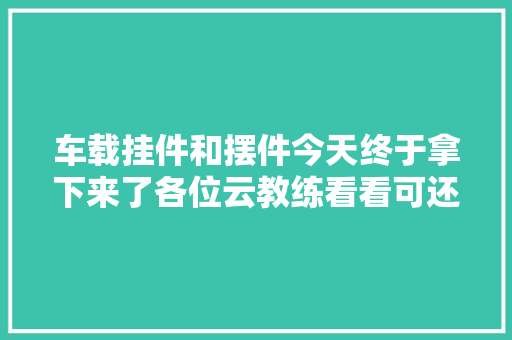 车载挂件和摆件今天终于拿下来了各位云教练看看可还行