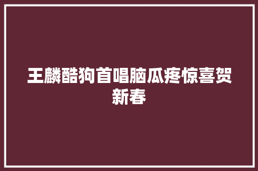 王麟酷狗首唱脑瓜疼惊喜贺新春