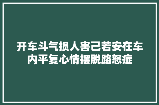 开车斗气损人害己若安在车内平复心情摆脱路怒症 汽车知识