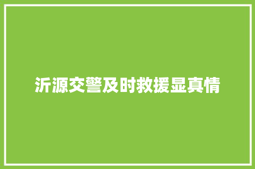 沂源交警及时救援显真情
