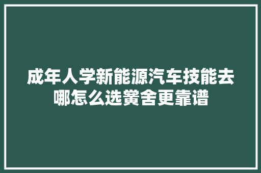 成年人学新能源汽车技能去哪怎么选黉舍更靠谱 汽车知识