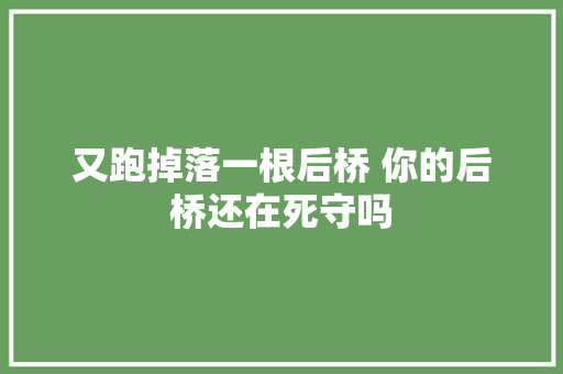 又跑掉落一根后桥 你的后桥还在死守吗