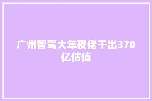 广州智驾大年夜佬干出370亿估值
