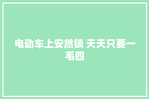 电动车上安然锁 天天只要一毛四