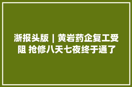 浙报头版︱黄岩药企复工受阻 抢修八天七夜终于通了