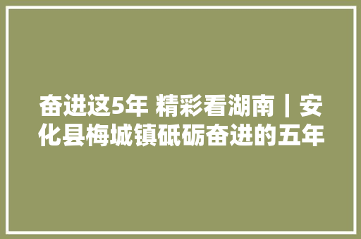 奋进这5年 精彩看湖南｜安化县梅城镇砥砺奋进的五年