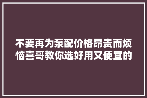 不要再为泵配价格昂贵而烦恼喜哥教你选好用又便宜的泵车