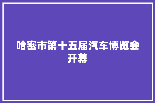 哈密市第十五届汽车博览会开幕