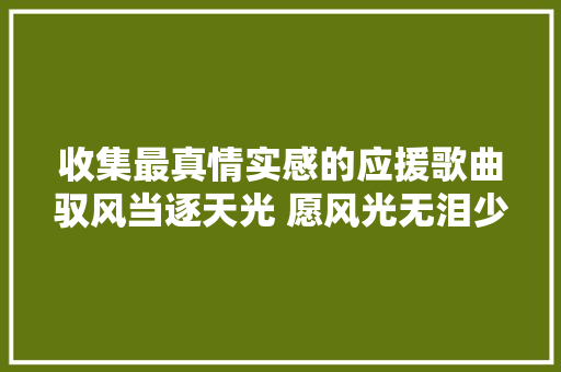 收集最真情实感的应援歌曲驭风当逐天光 愿风光无泪少年愿偿