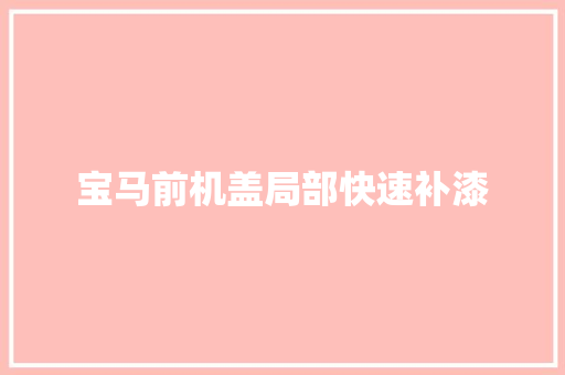 宝马前机盖局部快速补漆