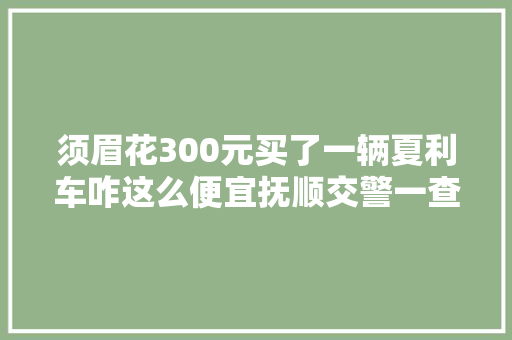 须眉花300元买了一辆夏利车咋这么便宜抚顺交警一查这里有事
