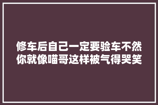 修车后自己一定要验车不然你就像喵哥这样被气得哭笑不得 汽车知识
