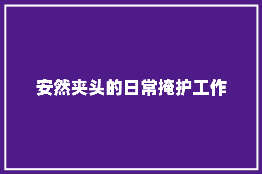安然夹头的日常掩护工作