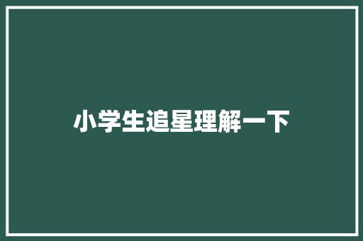 小学生追星理解一下
