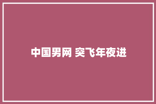 中国男网 突飞年夜进