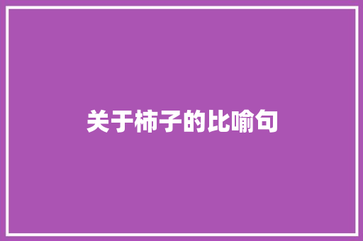 关于柿子的比喻句