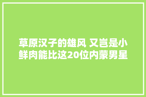 草原汉子的雄风 又岂是小鲜肉能比这20位内蒙男星 个个都是真爷们