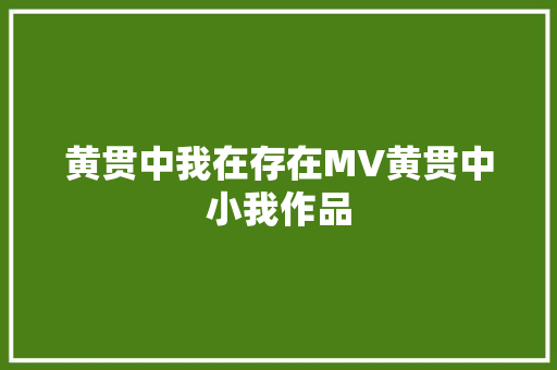 黄贯中我在存在MV黄贯中小我作品