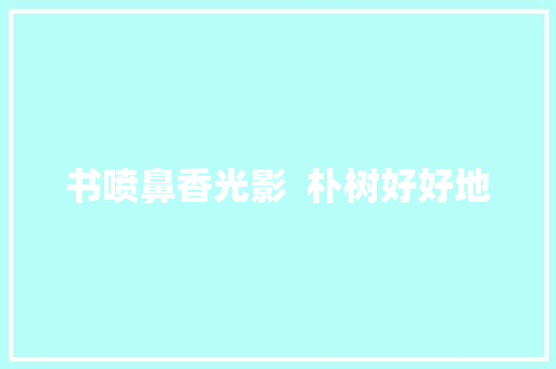 书喷鼻香光影  朴树好好地
