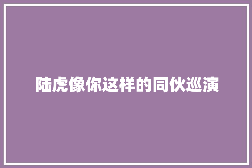陆虎像你这样的同伙巡演