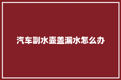 汽车副水壶盖漏水怎么办