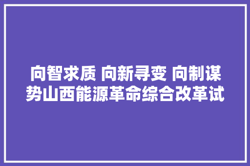 向智求质 向新寻变 向制谋势山西能源革命综合改革试点稳步推进