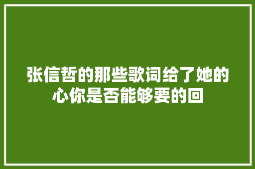 张信哲的那些歌词给了她的心你是否能够要的回