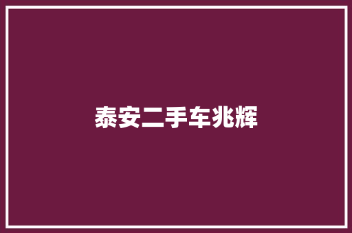 泰安二手车兆辉