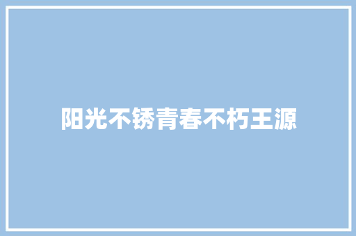 阳光不锈青春不朽王源