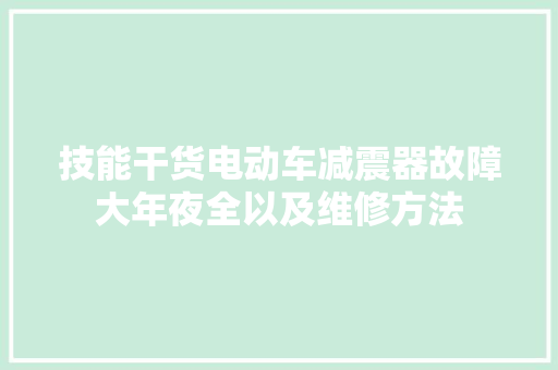 技能干货电动车减震器故障大年夜全以及维修方法
